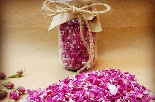 تصویر 2 از خرید گل محمدی شست پر + قیمت فروش استثنایی